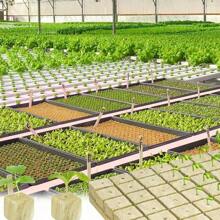 100pcs/50pcs Rockwool Planting Cubes For Seedling Propagation, Allows Plant Seeds To Germinate And Grow Without Soil, Hydroponics And Agriculture - Ginger - View 11