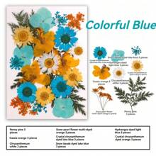 35pcs Dried Pressed Flowers For Resin Molds, Real Pressed Flowers Dry Leaves Kit For Art Crafts Resin Jewelry Making Scrapbook Supplies Card Making Soap Candle DIY Nails Decor| Valentine Day's Gift| Couple Gift| Christmas Gift Xmas Gift| Halloween Gift Decor