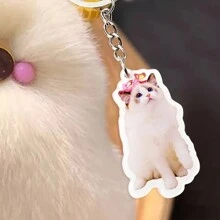 1pc Personalized Pet Memorial Keychain, Custom Photo Acrylic Pet Memento, Transparent Pendant Suitable For Bags And Backpacks,Dawg,Engraved,Durable,Stainless,Colorful,Cute,Adorable,Funny,Kawaii,Y2K,Stylish,Unisex,Casual,Custom,Personalized,Unique,Customized,Ideal Gifts For Him,Ideal Gifts For Her,Her,Boyfriend,Girlfriend,Family,Friends,Children,For Anniversaries,For Birthdays,For Graduation,For Housewarming,For Weddings,Bag Charms