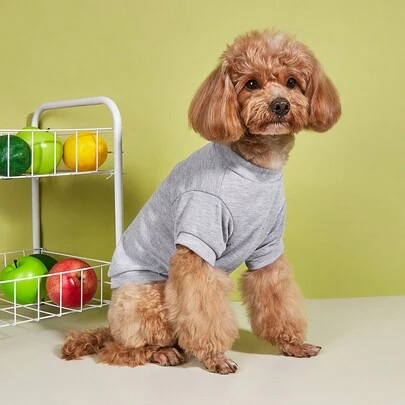 New Solid Color Short Sleeve Comfortable & Breathable Pet T-Shirt, Cat/Dog Crew Neck Top