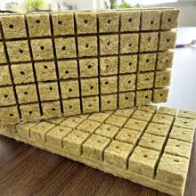100pcs/50pcs Rockwool Planting Cubes For Seedling Propagation, Allows Plant Seeds To Germinate And Grow Without Soil, Hydroponics And Agriculture - Ginger - View 1