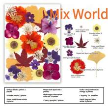 35pcs Dried Pressed Flowers For Resin Molds, Real Pressed Flowers Dry Leaves Kit For Art Crafts Resin Jewelry Making Scrapbook Supplies Card Making Soap Candle DIY Nails Decor| Valentine Day's Gift| Couple Gift| Christmas Gift Xmas Gift| Halloween Gift Decor