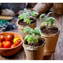 100 Pcs Fibre Seed Pots, 6cm Round Plant Seed Seedling Pots - Brown - View 5