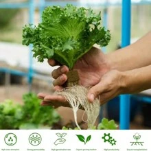 100pcs/50pcs Rockwool Planting Cubes For Seedling Propagation, Allows Plant Seeds To Germinate And Grow Without Soil, Hydroponics And Agriculture - Ginger - View 9