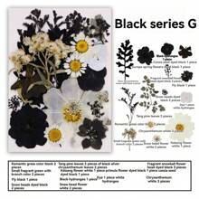 35pcs Dried Pressed Flowers For Resin Molds, Real Pressed Flowers Dry Leaves Kit For Art Crafts Resin Jewelry Making Scrapbook Supplies Card Making Soap Candle DIY Nails Decor| Valentine Day's Gift| Couple Gift| Christmas Gift Xmas Gift| Halloween Gift Decor