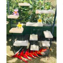 10 Piece Kiln Dried Pine Wood Ledges, Platform, Steps For Chinchillas, Rats, Birds And Caged Critters. Chinchilla Cage Accessories. - 1 - View 1