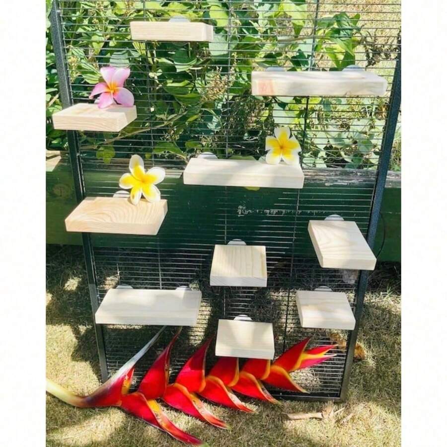 10 Piece Kiln Dried Pine Wood Ledges, Platform, Steps For Chinchillas, Rats, Birds And Caged Critters. Chinchilla Cage Accessories. - 1 - View 1