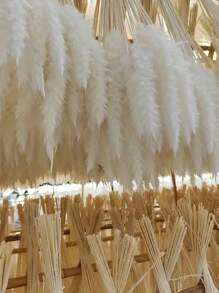 50/100/150pcs 17.5inches Dried Pampas Grass Flowers Baby Shower Decorations Wedding Supplies Accessories Home Farmhouse Room Floral Decor Natural Fluffy Pampas Grass Bouquet Lifelike Colorful Pampas Grass Bouquet Creative Fake Reed Flower Bouquet Simple Fluffy Artificial Plants