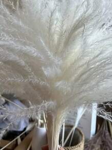 50/100/150pcs 17.5inches Dried Pampas Grass Flowers Baby Shower Decorations Wedding Supplies Accessories Home Farmhouse Room Floral Decor Natural Fluffy Pampas Grass Bouquet Lifelike Colorful Pampas Grass Bouquet Creative Fake Reed Flower Bouquet Simple Fluffy Artificial Plants