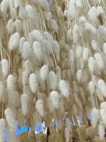 50/100/150pcs 17.5inches Dried Pampas Grass Flowers Baby Shower Decorations Wedding Supplies Accessories Home Farmhouse Room Floral Decor Natural Fluffy Pampas Grass Bouquet Lifelike Colorful Pampas Grass Bouquet Creative Fake Reed Flower Bouquet Simple Fluffy Artificial Plants