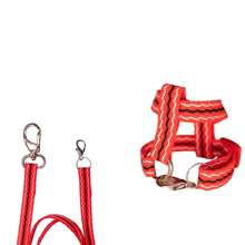 Peitoral para Calopsita Listrado Regulável Guia 1,50mt