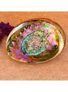 1 Pc Abalone Shell Bowl, Natural Bulk Abalone Shell Smudge Ncense Burner For Sage Burmng, Home Decor, Can Be Used Ln Yoga Studio, Suitable For Camping, Garden, Yard, Classic Candlelight Dinner Props Decor, 3.5-3.9 Lnch Gifts Birthday Graduation