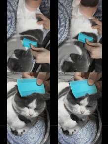 4pcs Pet Grooming Flea & Lice Comb, Double-Sided Fine Cat Hair Detangling Brush, Pet Fur Beauty Products