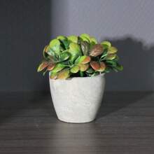 1pc Artificial Paper Pulp Potted Plant, Desk Decor With Eucalyptus And Wheat Grass Shrub, Home & Office Desktop Ornament, Friendship Gift, No Need For Power, Includes Container Gifts Birthday Graduation