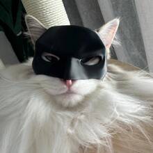 1PC, 3D-geprint kattenzwart vleermuismasker, feestgunst