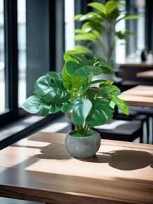 Cây lá hình mai rùa nhân tạo, làm bằng cao su mềm, trang trí nhỏ để bàn trong nhà. - Nhiều màu - Xem 7