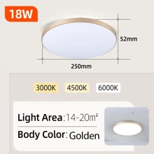 CANMEIJIA 1 件 LED 吸顶灯，大面板，现代嵌入式照明灯具，220V，适用于卧室、客厅、书房、衣柜、厨房、走廊、更衣室、出租房、房间、浴室、仓库、车库、入口