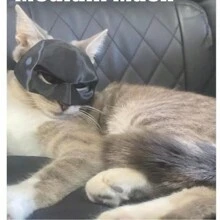 1PC, 3D-geprint kattenzwart vleermuismasker, feestgunst