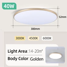 CANMEIJIA 1 件 LED 吸顶灯，大面板，现代嵌入式照明灯具，220V，适用于卧室、客厅、书房、衣柜、厨房、走廊、更衣室、出租房、房间、浴室、仓库、车库、入口