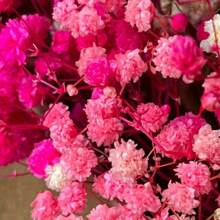 30/70pcs Miniature Dried Baby's Breath Flowers, 5.9 Inch White/Dark Pink/Pink, Standalone Gypsophila Craft, Wedding Decor, Resin Candle Making, Boho Style Invitation, Plant Material, No Feather, No Electricity, Valentine's Day Gifts Birthday Graduation