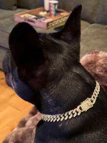 1pc Personalized Dog Collar With Name, Customized Brilliant Rhinestone Dog Collar, Custom Dog Collar Puppy Cat Id Summer Collars With Dog Accessory Dog Name/ID Tags Personalized Ideal Gifts For Him Her, Family, Friends, Pet Lovers, Pet For Anniversaries, For Birthdays, For Christmas, For Housewarming, For Fall/Autumn/Winter - Multicolor - View 3