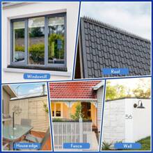 COSANSYS Bird Spikes,24 Pack Bird Deterrent Spikes For Outside,Bird Spikes For Outside Used Outdoors To Repel Birds, Squirrels, And Raccoons. Deterrents Used On Fences, Roofs, And Walls To Keep Birds Away 10M  24 Pack 10M Black Anti Bird Spikes Upgraded Bird Spikes For Outside Outdoor Fence To Keep Birds Away From Squirrel Raccoon Cat Fox Animal - Black - View 3