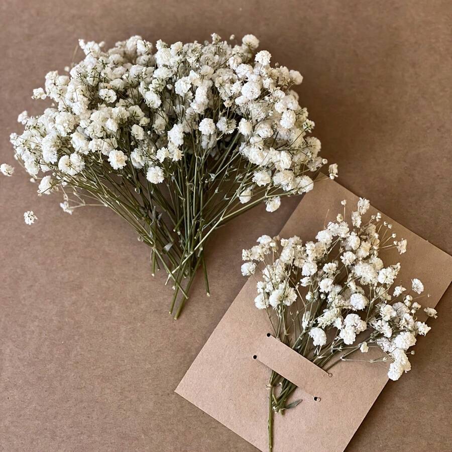 60/100 piezas de mini manojos blancos de flores del heno del bebé - Hierba pampas seca, para arreglos DIY, tarjetas de felicitación, decoración de bodas y fiestas, regalos del Día de San Valentín, cumpleaños, graduación, decoración de otoño
