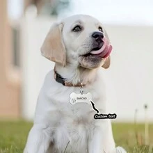 1pc Personalized Pet ID Tag Brand, Stainless Steel Bone Shape Dog Collar Pendant, Can Carve Pet Name And Contact Information To Prevent Pets From Getting Lost, A Good Holiday Gift Choice