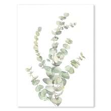 1 件北欧鼠尾草绿色植物墙壁艺术海报简约桉树叶帆布画印刷品图片房间家居装饰无框架