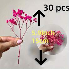 30/70pcs Miniature Dried Baby's Breath Flowers, 5.9 Inch White/Dark Pink/Pink, Standalone Gypsophila Craft, Wedding Decor, Resin Candle Making, Boho Style Invitation, Plant Material, No Feather, No Electricity, Valentine's Day Gifts Birthday Graduation