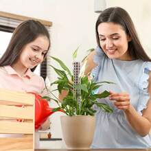 1/2/4 piezas Soporte de plástico para musgo, Soporte de planta, Columna de musgo, Juego de columnas de musgo - Multicolor - Ver 9