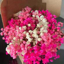 30/70pcs Miniature Dried Baby's Breath Flowers, 5.9 Inch White/Dark Pink/Pink, Standalone Gypsophila Craft, Wedding Decor, Resin Candle Making, Boho Style Invitation, Plant Material, No Feather, No Electricity, Valentine's Day Gifts Birthday Graduation