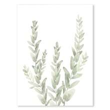 1 件北欧鼠尾草绿色植物墙壁艺术海报简约桉树叶帆布画印刷品图片房间家居装饰无框架