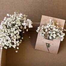 60/100 piezas de mini manojos blancos de flores del heno del bebé - Hierba pampas seca, para arreglos DIY, tarjetas de felicitación, decoración de bodas y fiestas, regalos del Día de San Valentín, cumpleaños, graduación, decoración de otoño