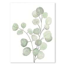 1 件北欧鼠尾草绿色植物墙壁艺术海报简约桉树叶帆布画印刷品图片房间家居装饰无框架