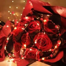 1入組LED珍珠銅線燈，帶電池盒，20LED/50LED，珍珠形狀串燈，適用於臥室、少女和新婚夫婦家庭裝飾，電池不包含在內 - 白色 - 查看 19