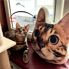 Personalized Pet Photo Plush Pillow - Customized Animal Shaped Cushion, Perfect Gift For Pet Enthusiasts And Friends, Double Sided Printing, Suitable For Living Room, Bedroom, Sofa, Cat Decoration, Suitable For Any Scene