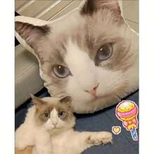 Personalized Pet Photo Plush Pillow - Customized Animal Shaped Cushion, Perfect Gift For Pet Enthusiasts And Friends, Double Sided Printing, Suitable For Living Room, Bedroom, Sofa, Cat Decoration, Suitable For Any Scene