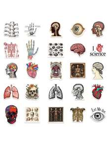 50pcs Retro Scientific Anatomy Stickers Diary Luggage Education Science Creative Decorative Stickers