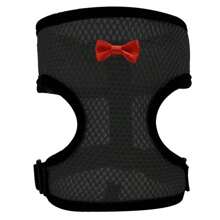 鸡鸭鹅牵引绳/背带，透气家禽训练牵引绳，宠物牵引绳