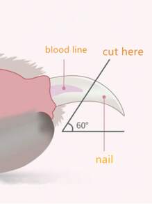 Dog Lover And Dog Mom Love & Cat Lover And Cat Mom Love Cat/Dog Lover Gift And Dog/Cat Mom Love Pets Nail Clippers And Trimmers,With LED Lighting Safety Guard To Over Cutting, Nail File-Suitable For Small Dog Lover And Dog Mom Loves And Cat Lover And Cat Mom Loves(Pink)