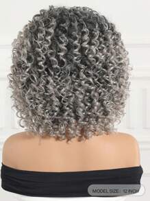 Fluffy Little Curly Wig Gradient Silver Gray 12 Inch Short Curly Wig Synthetic Heat Resistant Fiber Wig Ladies Wig Perfect For Holiday Travel Family Gatherings Everyday Wear Use
