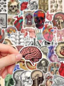 50pcs Retro Scientific Anatomy Stickers Diary Luggage Education Science Creative Decorative Stickers