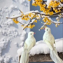 6PCS Simulation Feather White Pigeon, Simulation Pigeon Clip Decoration, Used For Gardening Decoration, Christmas Tree Decoration, Weddings, Flower Garlands, And Craft Props