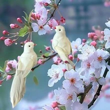 6PCS Simulation Feather White Pigeon, Simulation Pigeon Clip Decoration, Used For Gardening Decoration, Christmas Tree Decoration, Weddings, Flower Garlands, And Craft Props