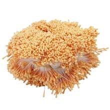 4000pcs 2mm Multi-Color Mini Artificial Flower Heads With Matte Satin Ribbons, Faux Flower Stamens For Artificial Flowers, Scrapbooking And Party Decorations, DIY Wedding, Home And Indoor Decoration Flower Making Accessories - Small Bouquet Core, Handmade, Gift Box Packaging And Decor Materials Gifts Birthday Graduation