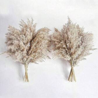 12/30Pcs, 16.5 Inch High Fluffy Pampas Grass, Brown Tall Vase Dry Exaggerated Decoration Bohemian Wedding Flowers, Suitable For Festival Dressing Bouquets, Parties, Weddings And Other Decorations., Valentine Day, Gift Gifts Birthday Graduation,Fall Decor,Autumn,Fake Plants