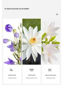 Set de regalo de perfume para mujer MYSTICAL, Día de la Madre, Navidad, Día de San Valentín, fragancia ligera, frescura duradera, adecuado para la vida diaria, citas y regalos, te permite liberar el único de las mujeres, la fragancia no se repite todos los días - 02 - Ver 2