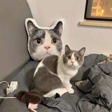 Personalized Pet Photo Plush Pillow - Customized Animal Shaped Cushion, Perfect Gift For Pet Enthusiasts And Friends, Double Sided Printing, Suitable For Living Room, Bedroom, Sofa, Cat Decoration, Suitable For Any Scene