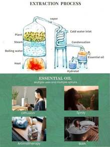 1pc Aromatherapy Essential Oils, Suitable For Humidifier/Diffuser/Aroma Stone/Car Diffuser, 12 Soothing Scents, Air Freshener, Deodorizer, For Diffuser, Humidifier, Aroma Diffuser, Home, Bedroom, Office, Freshen Air, Relieve Fatigue, Aid Sleep, Relieve Stress - 10ml - View 9